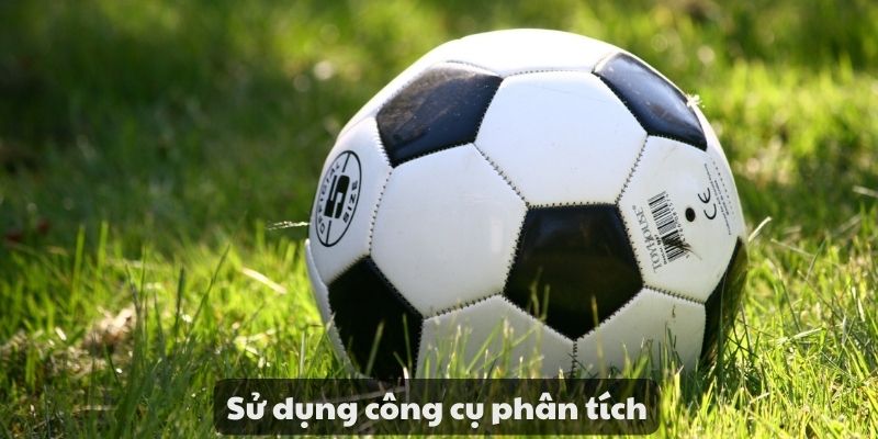Mẹo đánh rồng hổ - Hướng dẫn từ A đến Z để thành công 11 Sử dụng công cụ phân tích