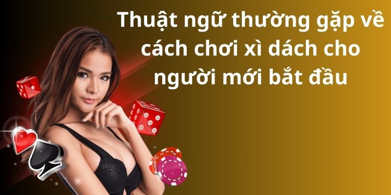 Mẹo đánh rồng hổ - Hướng dẫn từ A đến Z để thành công 11 image 204
