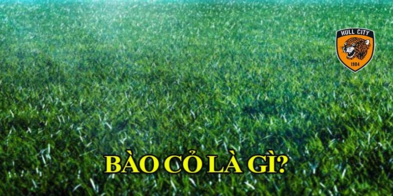 Bào cỏ là gì?