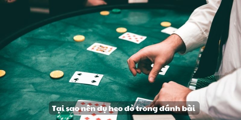 Tại sao nên dụ heo đỏ trong đánh bài 