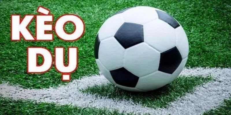 Mẹo đánh rồng hổ - Hướng dẫn từ A đến Z để thành công 8 image 23